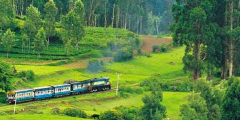 Ooty Tour Package from Chennai