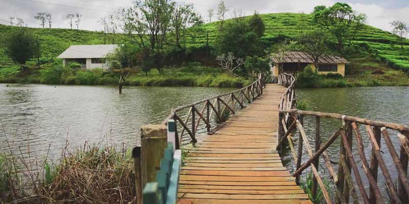 Vagamon Tour Package from Chennai