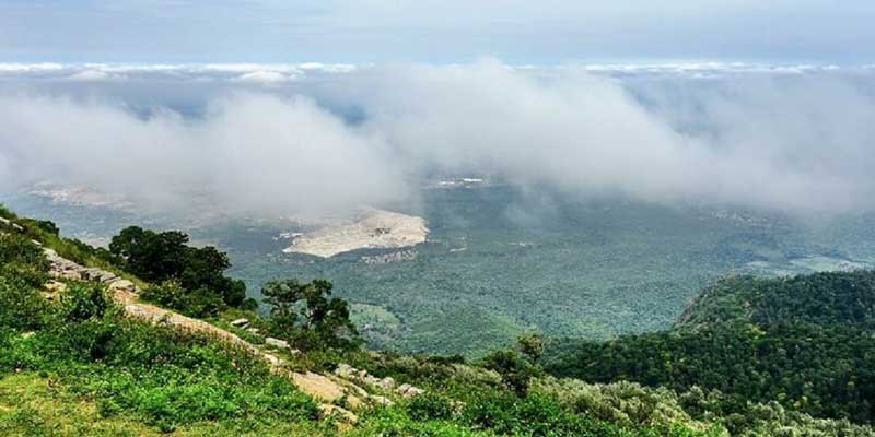 Yercaud Tour Package from Chennai